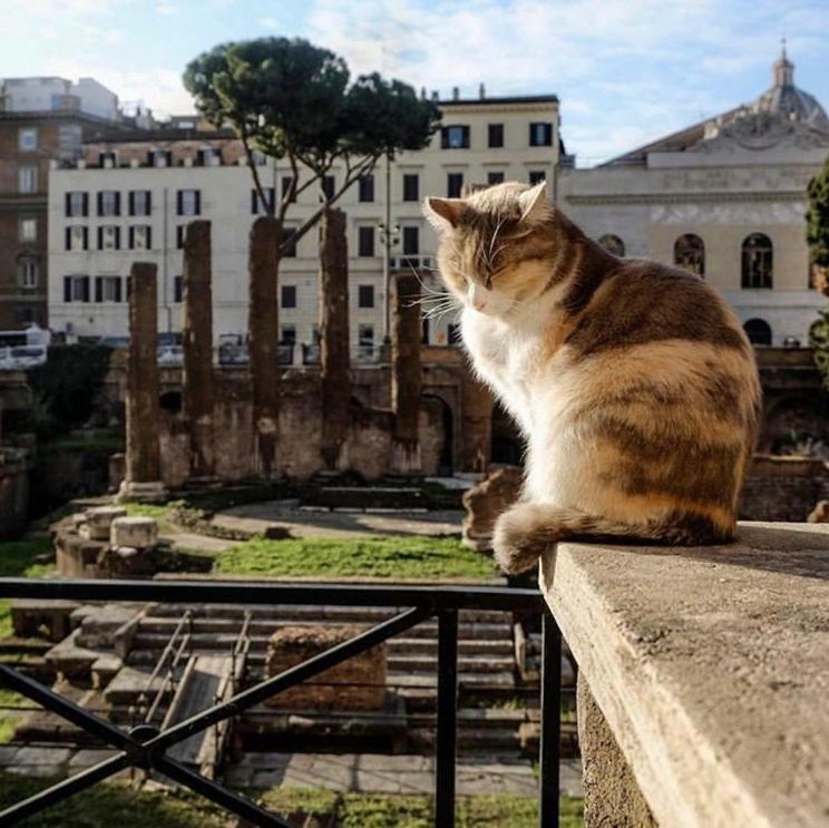 Ancient Roman Mansion Екстер'єр фото